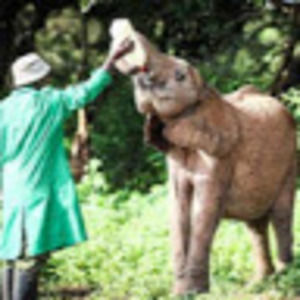 Meet your Posher, Terry